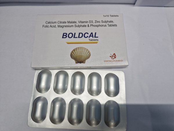 BOLDCAL - Image 3